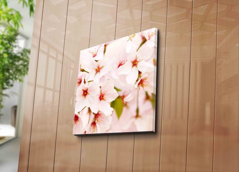 Lerretsbilde 45x45 cm - Blomstrende kirsebærblomster i pastellfarger - Lys rosa / Hvit / Grønn - Innredning - Bilder & kunst - Lerretsbilder