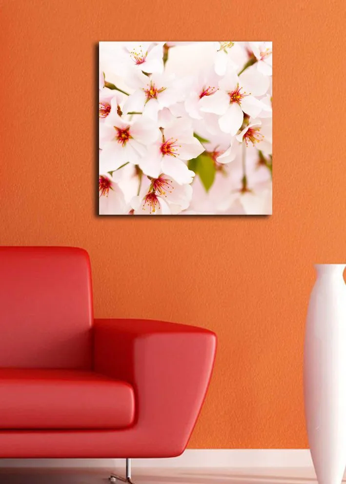 Lerretsbilde 45x45 cm - Blomstrende kirsebærblomster i pastellfarger - Lys rosa / Hvit / Grønn - Innredning - Bilder & kunst - Lerretsbilder