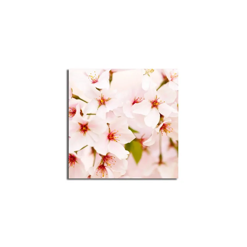 Lerretsbilde 45x45 cm - Blomstrende kirsebærblomster i pastellfarger - Lys rosa / Hvit / Grønn - Innredning - Bilder & kunst - Lerretsbilder