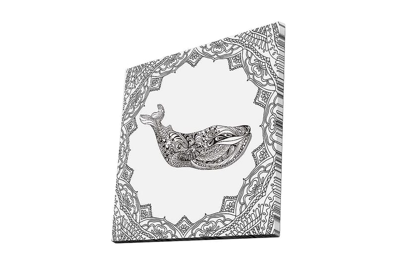 Lerretsbilde 45x45 cm - Dekorativ hval i detaljert design, Svart / Hvit