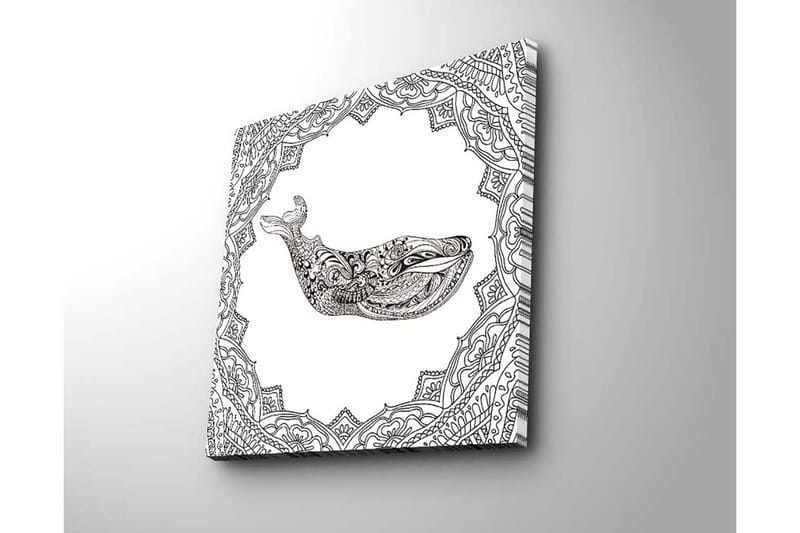 Lerretsbilde 45x45 cm - Dekorativ hval i detaljert design - Svart / Hvit - Innredning - Bilder & kunst - Lerretsbilder