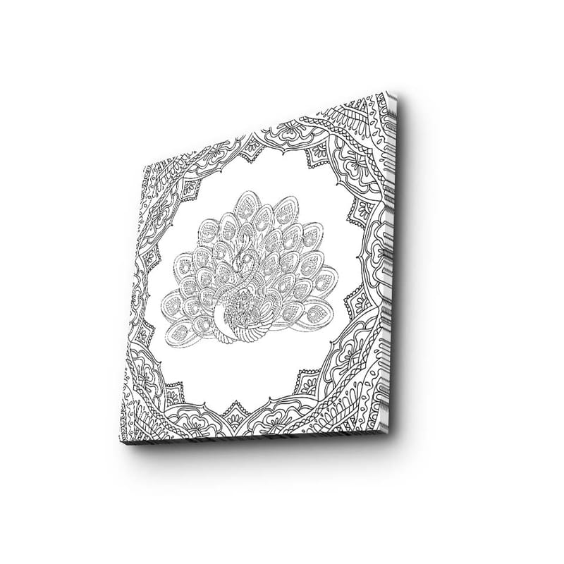 Lerretsbilde 45x45 cm - Detaljert fjærdrakt av en påfugl i en utsmykket ramme - Svart / Hvit - Innredning - Bilder & kunst - Lerretsbilder