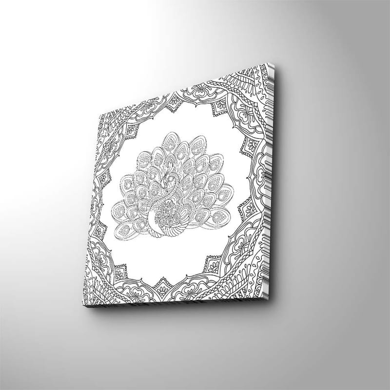 Lerretsbilde 45x45 cm - Detaljert fjærdrakt av en påfugl i en utsmykket ramme - Svart / Hvit - Innredning - Bilder & kunst - Lerretsbilder