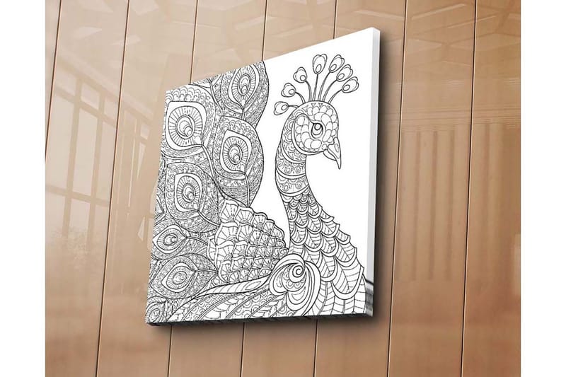 Lerretsbilde 45x45 cm - Detaljert fjærkre med intrikate mønstre - Svart / Hvit - Innredning - Bilder & kunst - Lerretsbilder