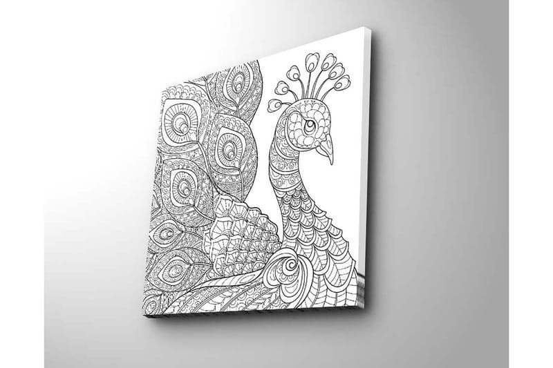 Lerretsbilde 45x45 cm - Detaljert fjærkre med intrikate mønstre - Svart / Hvit - Innredning - Bilder & kunst - Lerretsbilder