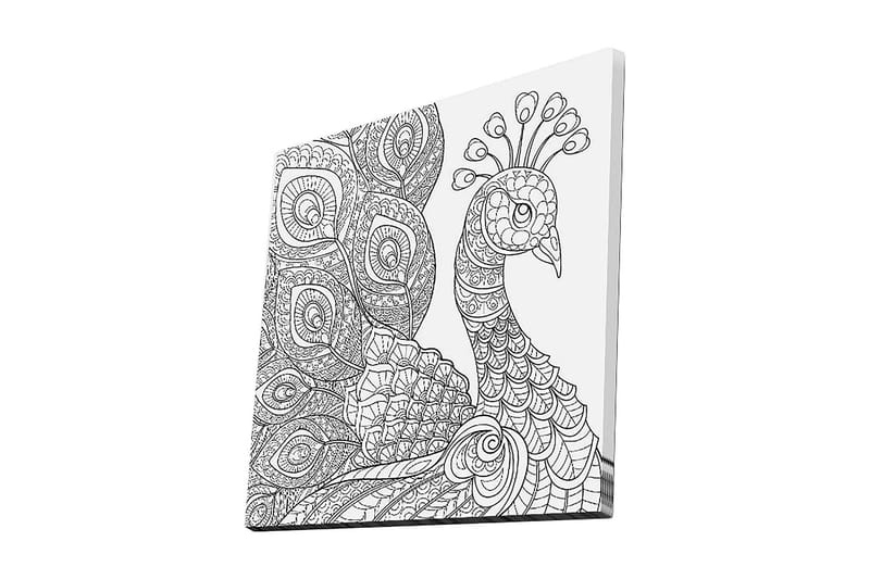 Lerretsbilde 45x45 cm - Detaljert fjærkre med intrikate mønstre, Svart / Hvit