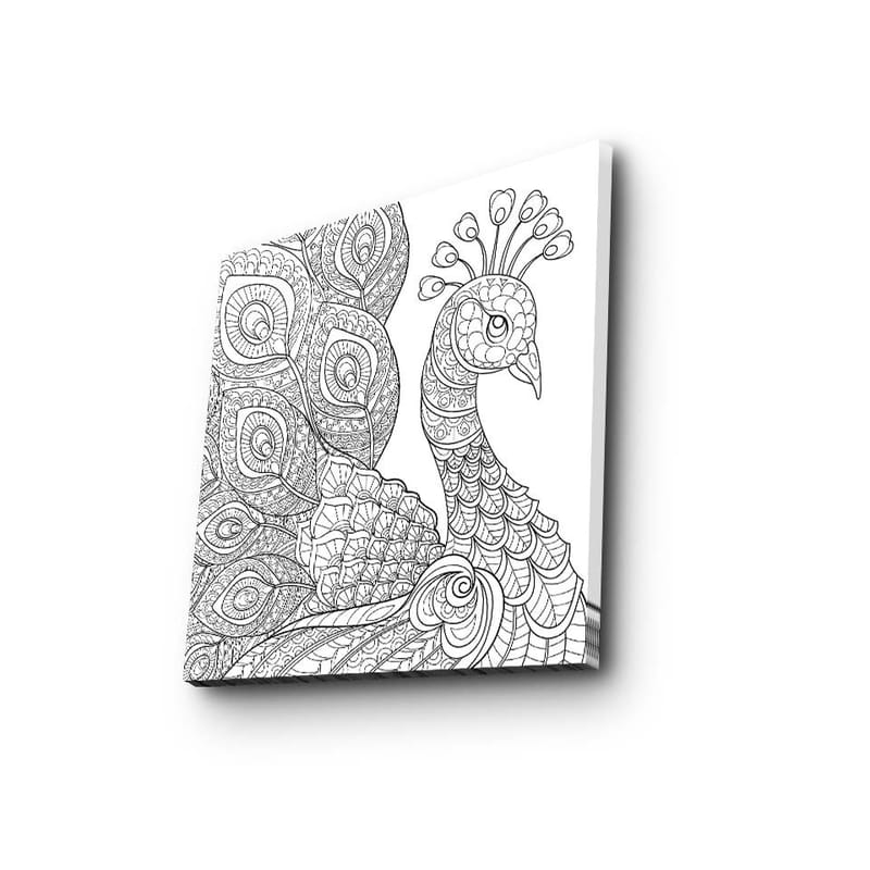 Lerretsbilde 45x45 cm - Detaljert fjærkre med utsmykkede fjær - Svart / Hvit - Innredning - Bilder & kunst - Lerretsbilder