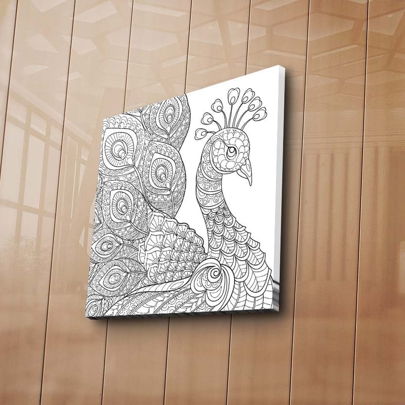 Lerretsbilde 45x45 cm - Detaljert fjærkre med utsmykkede fjær - Svart / Hvit - Innredning - Bilder & kunst - Lerretsbilder