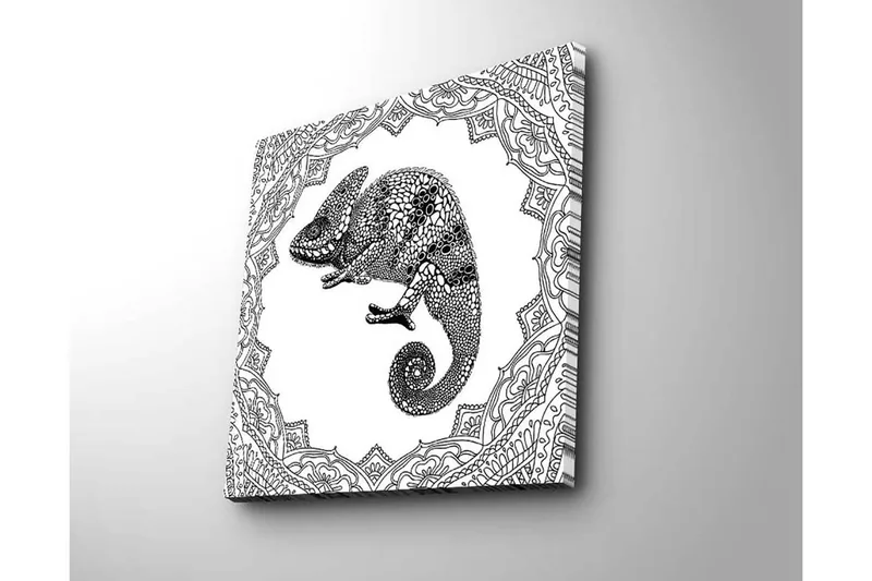 Lerretsbilde 45x45 cm - Detaljert illustrasjon av en kameleon i en utsmykket ramme - Svart / Hvit - Innredning - Bilder & kunst - Lerretsbilder