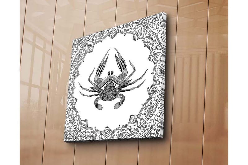 Lerretsbilde 45x45 cm - Detaljert illustrasjon av en krabbe omgitt av ornamentale mønstre - Svart / Hvit - Innredning - Bilder & kunst - Lerretsbilder