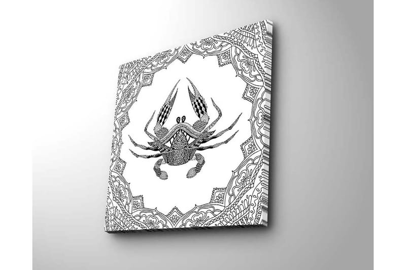 Lerretsbilde 45x45 cm - Detaljert illustrasjon av en krabbe omgitt av ornamentale mønstre - Svart / Hvit - Innredning - Bilder & kunst - Lerretsbilder