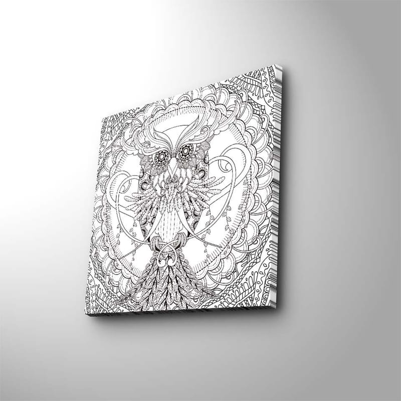 Lerretsbilde 45x45 cm - Detaljert og stilisert ugle omgitt av ornamentale mønstre, Svart / Hvit