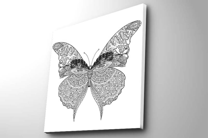 Lerretsbilde 45x45 cm - Detaljert sommerfugl med intrikate mønstre - Svart / Hvit - Innredning - Bilder & kunst - Lerretsbilder