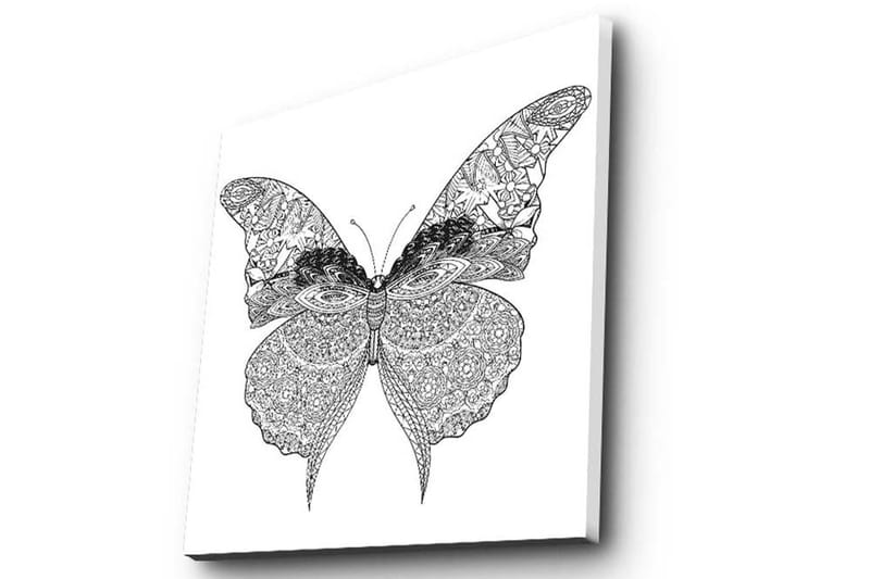 Lerretsbilde 45x45 cm - Detaljert sommerfugl med intrikate mønstre - Svart / Hvit - Innredning - Bilder & kunst - Lerretsbilder