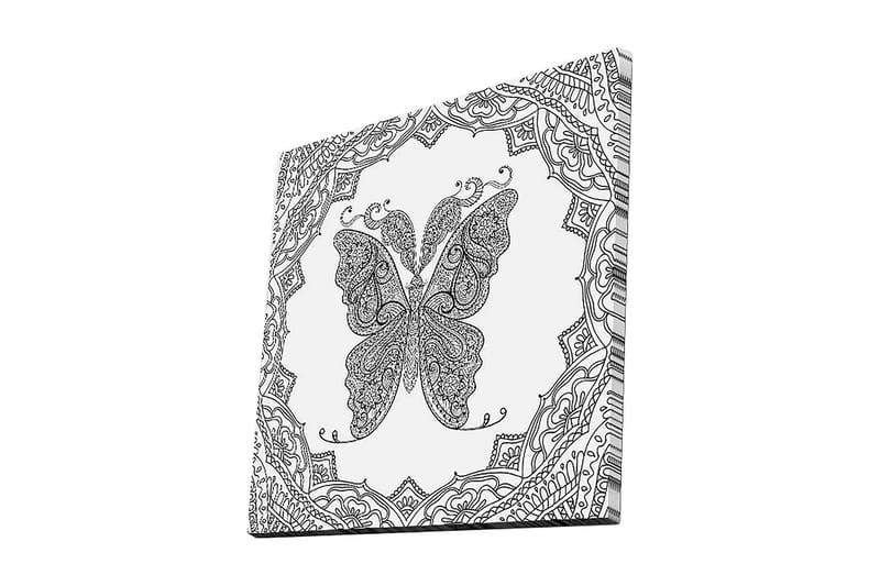 Lerretsbilde 45x45 cm - Detaljert sommerfugl med ornamentale mønstre, Svart / Hvit