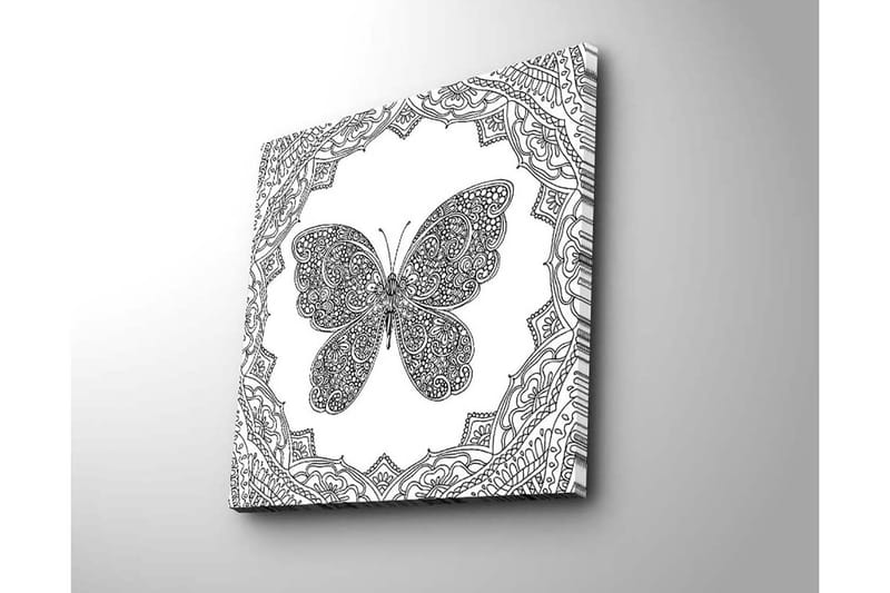 Lerretsbilde 45x45 cm - Detaljert sommerfugl omgitt av ornamentale mønstre - Svart / Hvit - Innredning - Bilder & kunst - Lerretsbilder