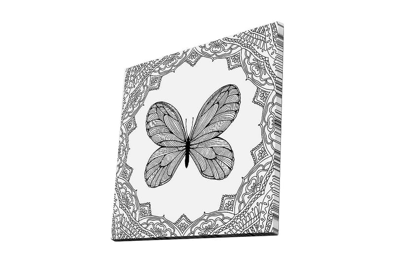 Lerretsbilde 45x45 cm - Detaljert sommerfugl omgitt av ornamentale mønstre, Svart / Hvit