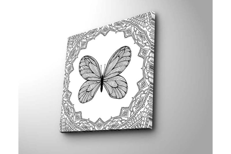 Lerretsbilde 45x45 cm - Detaljert sommerfugl omgitt av ornamentale mønstre - Svart / Hvit - Innredning - Bilder & kunst - Lerretsbilder
