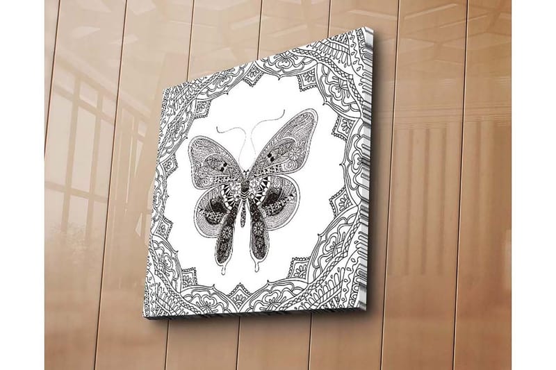 Lerretsbilde 45x45 cm - Detaljert sommerfugl omgitt av ornamentale mønstre, Svart / Hvit