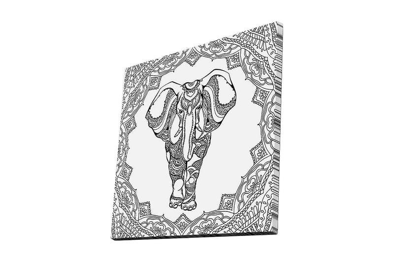 Lerretsbilde 45x45 cm - Detaljert svart-hvitt-illustrasjon av en elefant omgitt av ornamentale mønstre, Svart / Hvit