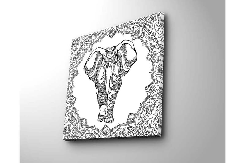Lerretsbilde 45x45 cm - Detaljert svart-hvitt-illustrasjon av en elefant omgitt av ornamentale mønstre - Svart / Hvit - Innredning - Bilder & kunst - Lerretsbilder