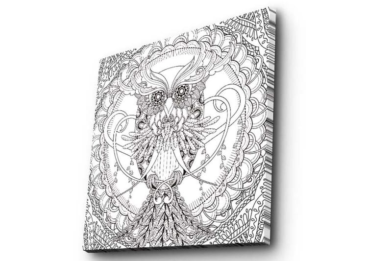 Lerretsbilde 45x45 cm - Detaljert svart-hvitt ugle med intrikate mønstre - Svart / Hvit - Innredning - Bilder & kunst - Lerretsbilder