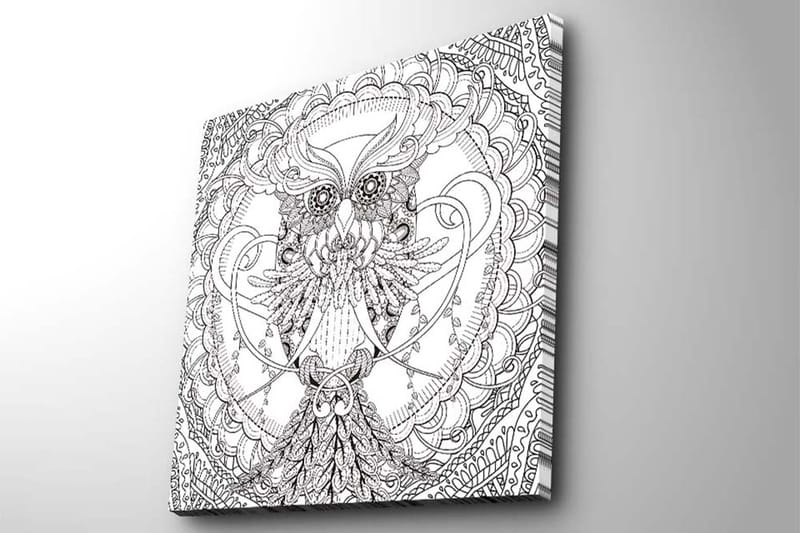 Lerretsbilde 45x45 cm - Detaljert svart-hvitt ugle med intrikate mønstre - Svart / Hvit - Innredning - Bilder & kunst - Lerretsbilder