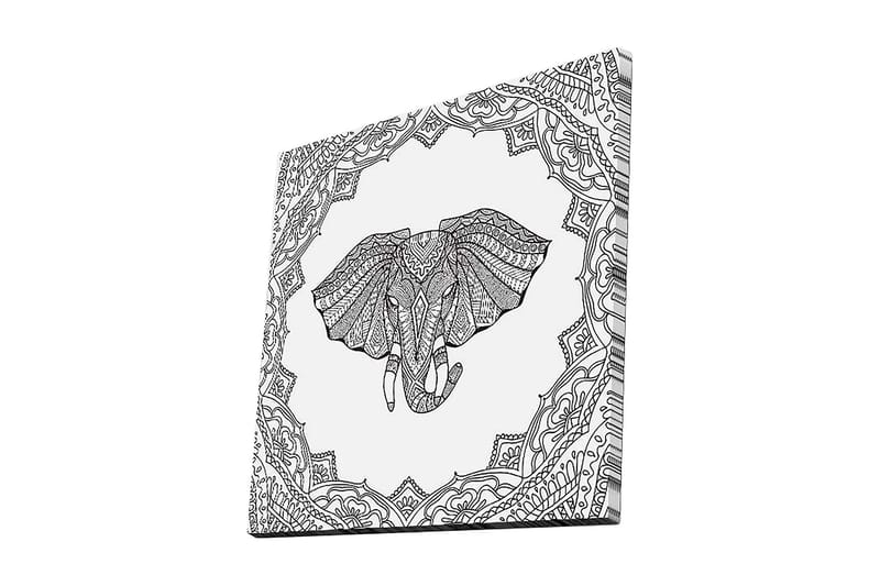 Lerretsbilde 45x45 cm - Elefant med intrikate mønstre i en dekorativ ramme, Svart / Hvit