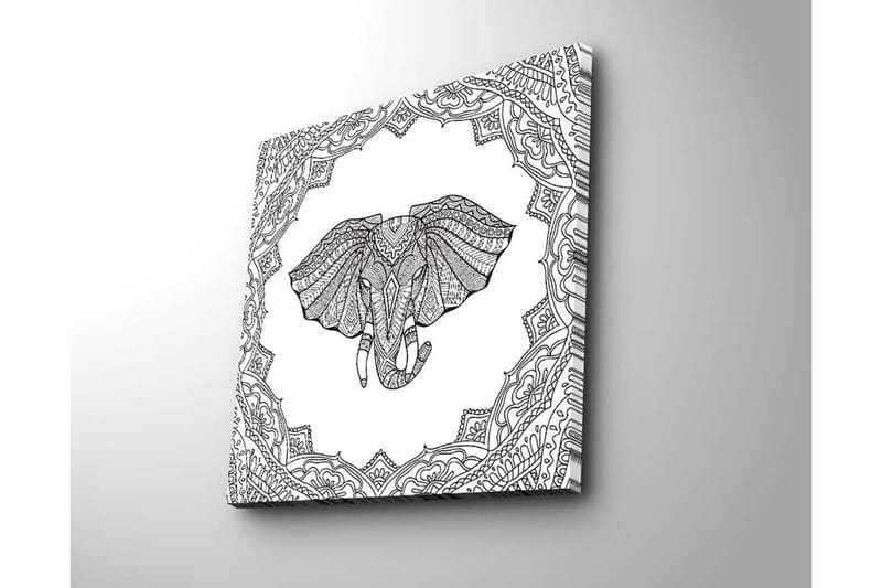 Lerretsbilde 45x45 cm - Elefant med intrikate mønstre i en dekorativ ramme - Svart / Hvit - Innredning - Bilder & kunst - Lerretsbilder