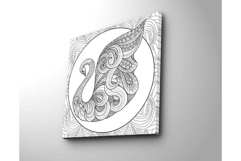 Lerretsbilde 45x45 cm - Elegant svane med intrikate mønstre - Svart / Hvit - Innredning - Bilder & kunst - Lerretsbilder
