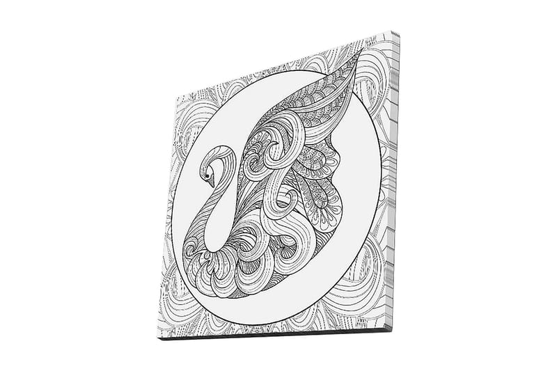Lerretsbilde 45x45 cm - Elegant svane med intrikate mønstre, Svart / Hvit