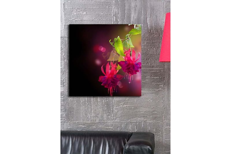 Lerretsbilde 45x45 cm - Fargerik hengende fuchsia med grønne blader - Rosa / Lilla / Grønn - Innredning - Bilder & kunst - Lerretsbilder