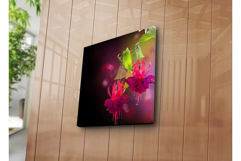 Lerretsbilde 45x45 cm - Fargerik hengende fuchsia med grønne blader - Rosa / Lilla / Grønn - Innredning - Bilder & kunst - Lerretsbilder