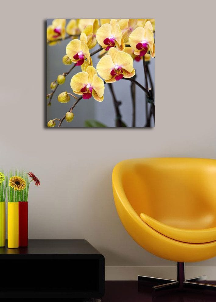 Lerretsbilde 45x45 cm - Fargerik orkidé med gule og rosa blomster - Gul / Rosa - Innredning - Bilder & kunst - Lerretsbilder