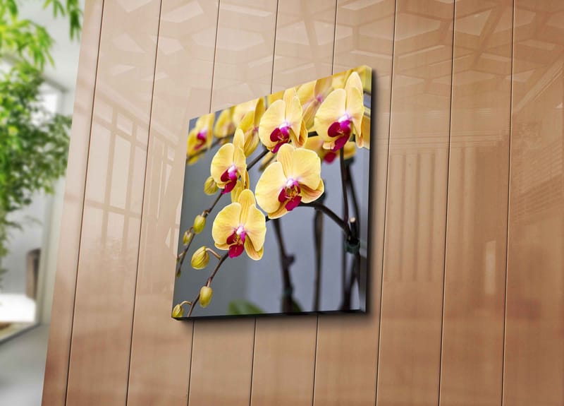 Lerretsbilde 45x45 cm - Fargerik orkidé med gule og rosa blomster - Gul / Rosa - Innredning - Bilder & kunst - Lerretsbilder