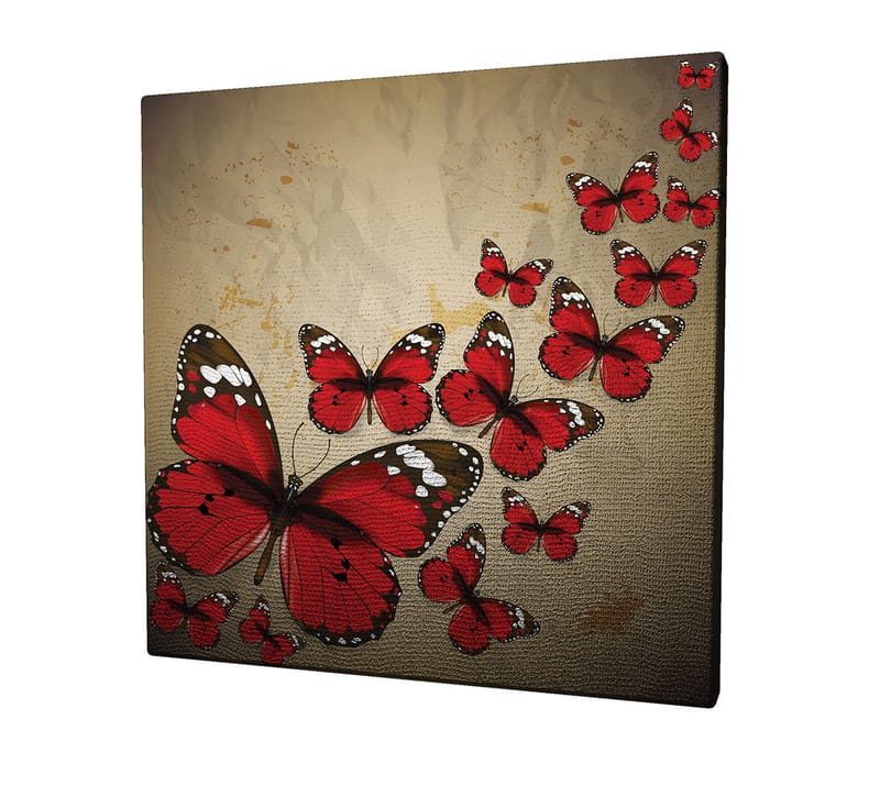 Lerretsbilde 45x45 cm - Fargerik samling av sommerfugler i rød fargetone - Rød / Svart / Beige - Innredning - Bilder & kunst - Lerretsbilder
