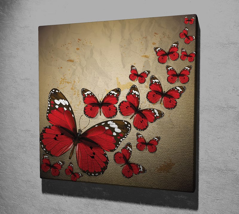 Lerretsbilde 45x45 cm - Fargerik samling av sommerfugler i rød fargetone - Rød / Svart / Beige - Innredning - Bilder & kunst - Lerretsbilder