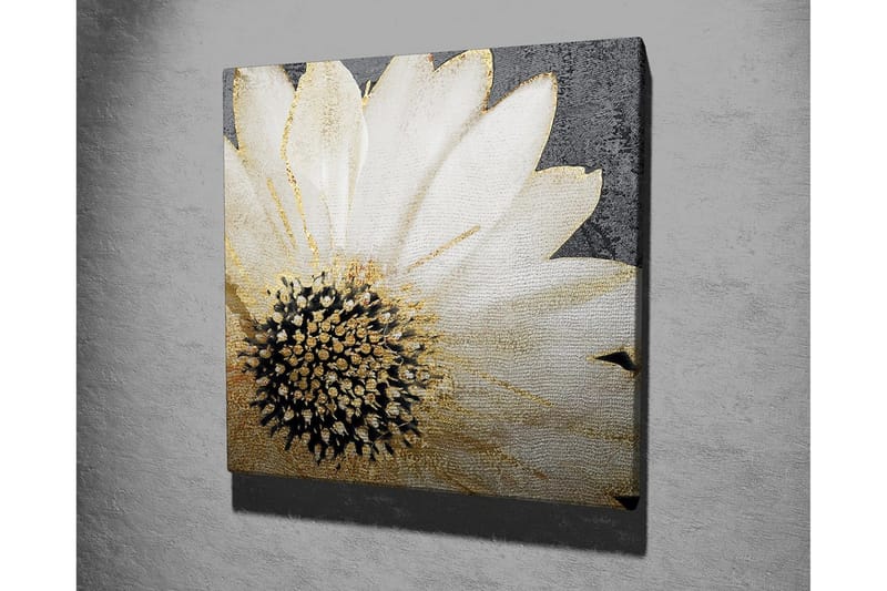 Lerretsbilde 45x45 cm - Hvit blomst med svart midtpunkt og gylne detaljer - Hvit / Svart / Gull - Innredning - Bilder & kunst - Lerretsbilder