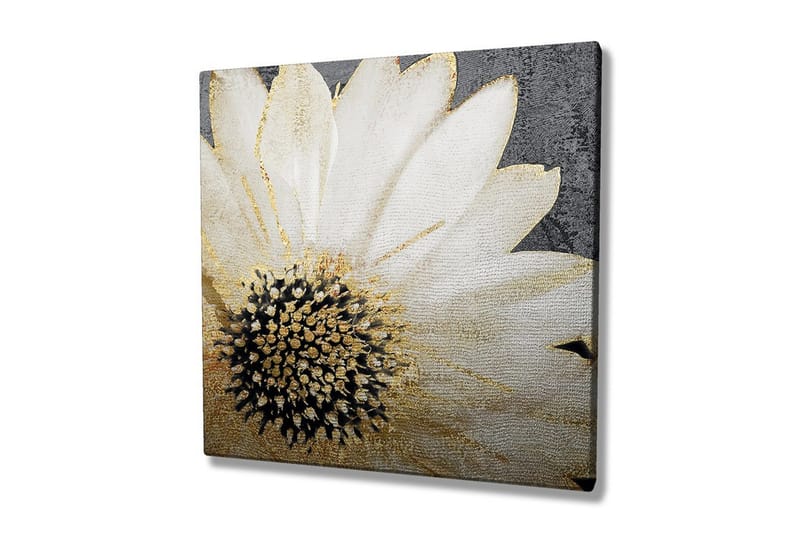 Lerretsbilde 45x45 cm - Hvit blomst med svart midtpunkt og gylne detaljer, Hvit / Svart / Gull