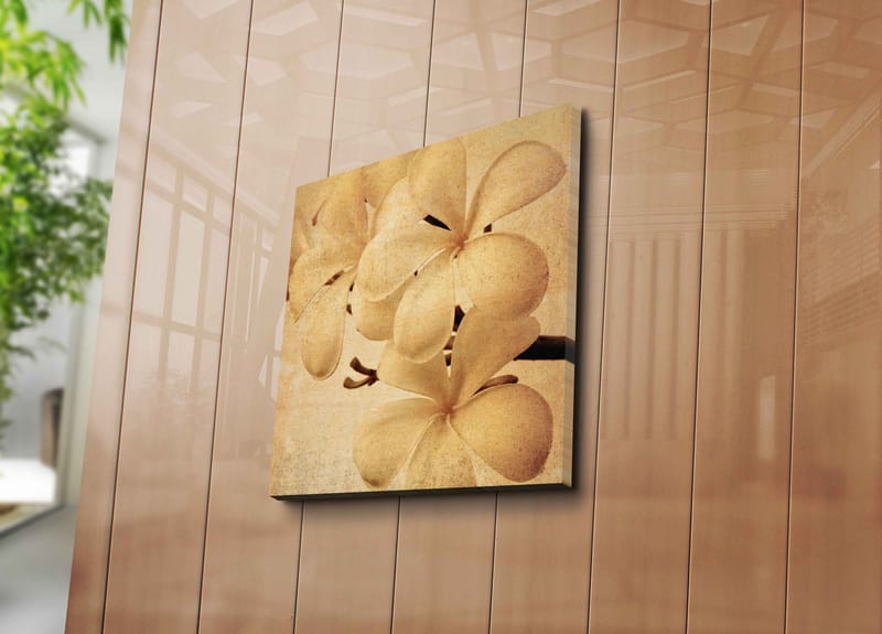 Lerretsbilde 45x45 cm - Hvit orkidé med myke kronblader - Hvit / Beige / Brun - Innredning - Bilder & kunst - Lerretsbilder