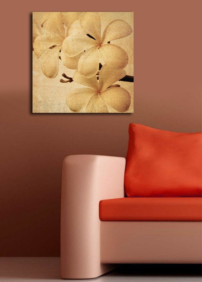 Lerretsbilde 45x45 cm - Hvit orkidé med myke kronblader - Hvit / Beige / Brun - Innredning - Bilder & kunst - Lerretsbilder