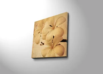Lerretsbilde 45x45 cm - Hvit orkidé med myke kronblader - Hvit / Beige / Brun - Innredning - Bilder & kunst - Lerretsbilder