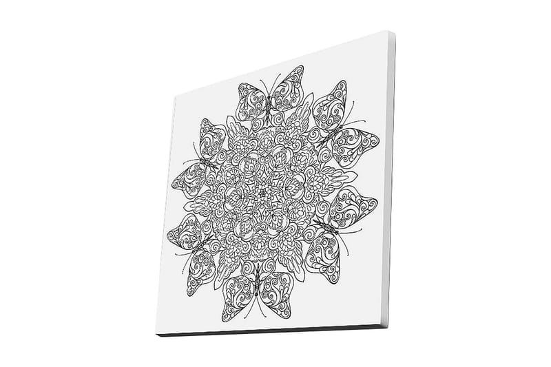 Lerretsbilde 45x45 cm - Intrikat mønster av sommerfugler og blomster, Svart / Hvit