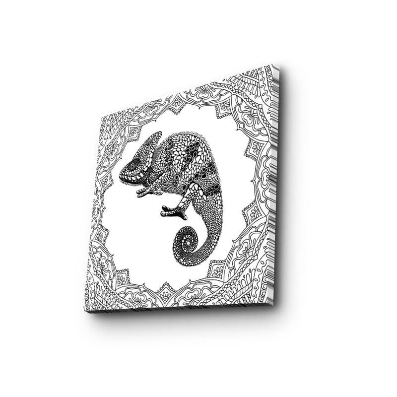 Lerretsbilde 45x45 cm - Kameleon i detaljert svart-hvitt-stil - Svart / Hvit - Innredning - Bilder & kunst - Lerretsbilder
