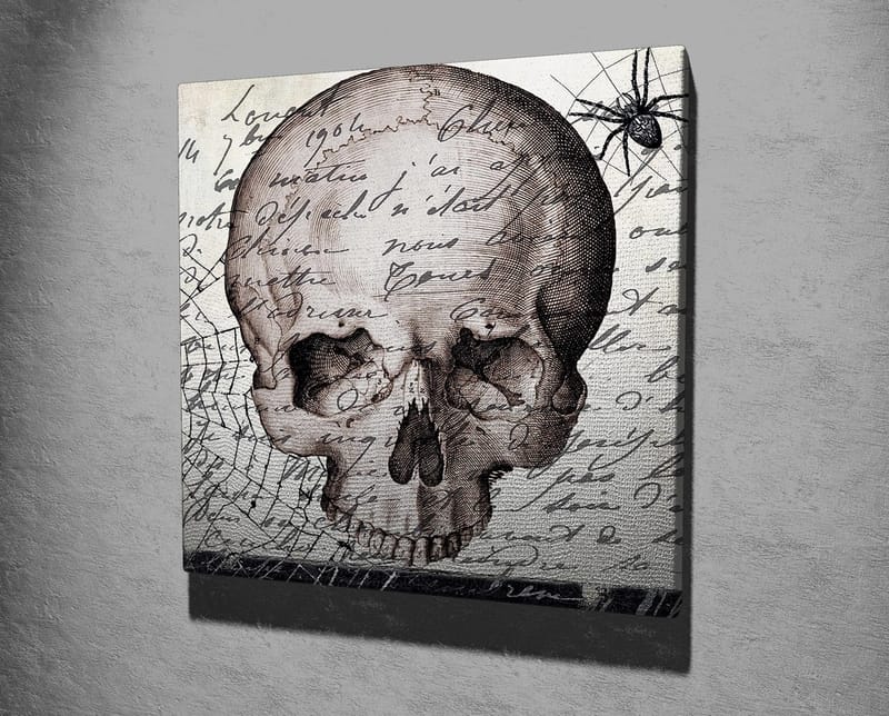 Lerretsbilde 45x45 cm - Mørk hodeskalle med håndskrevet tekst og edderkoppmotiv - Grå / Svart / Beige - Innredning - Bilder & kunst - Lerretsbilder