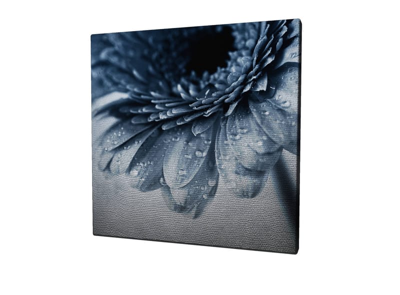 Lerretsbilde 45x45 cm - Nærbilde av en blomst med vanndråper på kronbladene - Blå / Grå - Innredning - Bilder & kunst - Lerretsbilder
