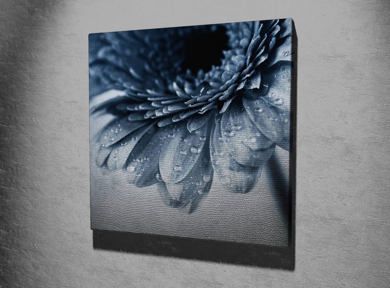 Lerretsbilde 45x45 cm - Nærbilde av en blomst med vanndråper på kronbladene - Blå / Grå - Innredning - Bilder & kunst - Lerretsbilder