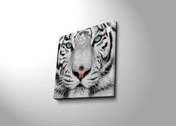 Lerretsbilde 45x45 cm - Nærbilde av en hvit tiger med intense øyne - Hvit / Svart / Grønn - Innredning - Bilder & kunst - Lerretsbilder