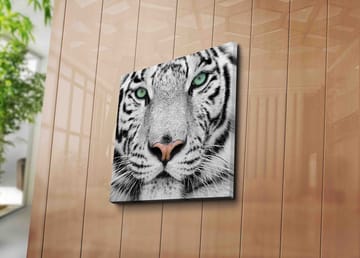 Lerretsbilde 45x45 cm - Nærbilde av en hvit tiger med intense øyne - Hvit / Svart / Grønn - Innredning - Bilder & kunst - Lerretsbilder