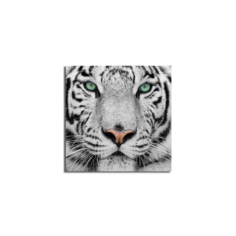Lerretsbilde 45x45 cm - Nærbilde av en hvit tiger med intense øyne - Hvit / Svart / Grønn - Innredning - Bilder & kunst - Lerretsbilder